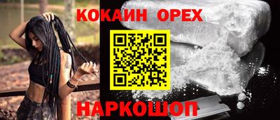 молекула духа Новозыбков