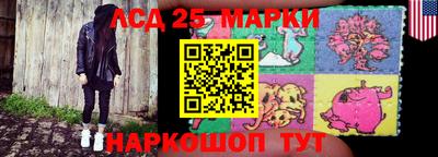 крисы Новодвинск