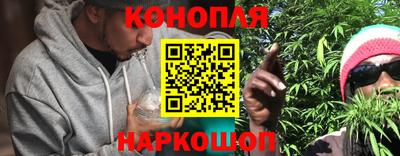 крисы Новодвинск