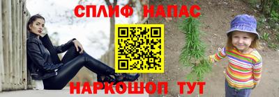 крисы Новодвинск