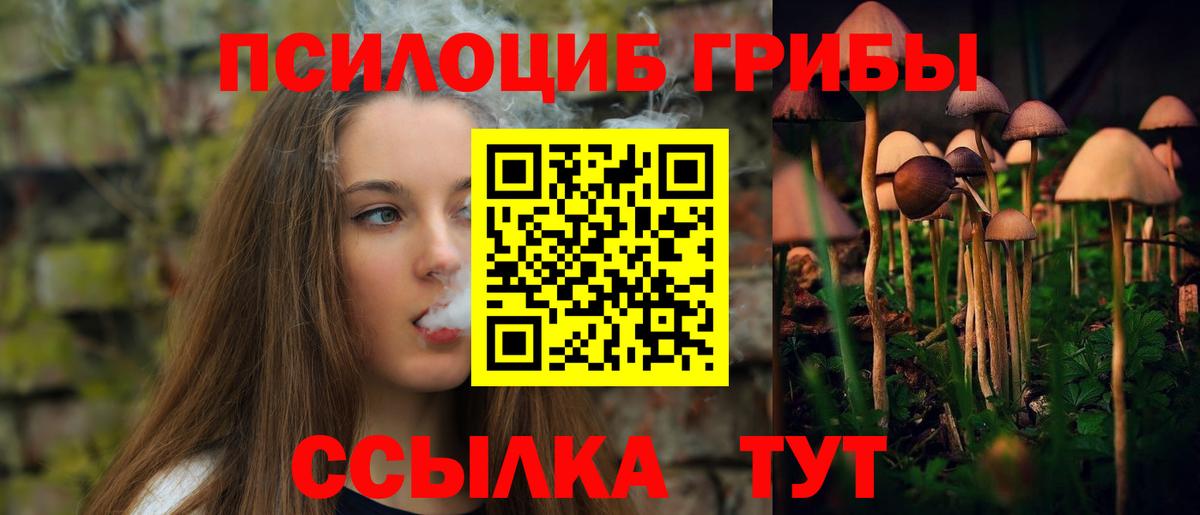 Скопин  Псилоцибиновые грибы прущие грибы  Галлюциногенные грибы ЛСД  Вход с VPN 