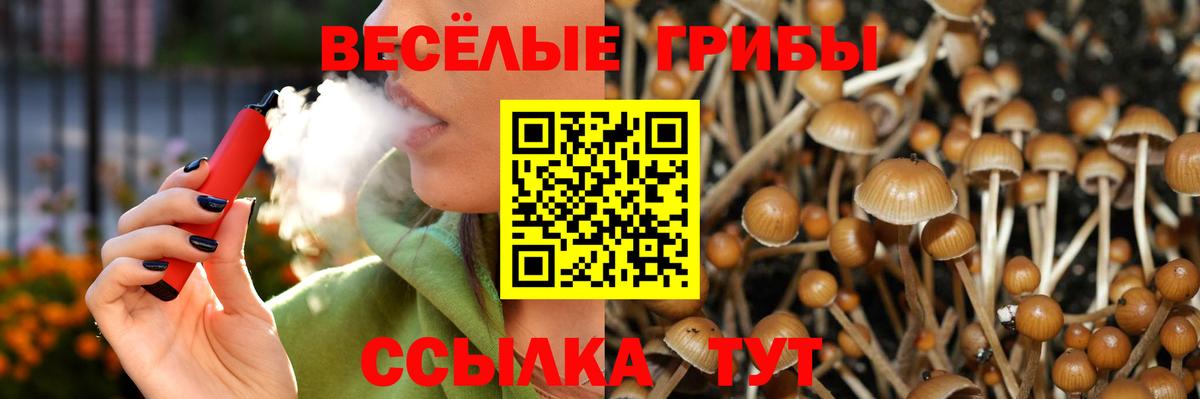 Галлюциногенные грибы Cubensis Скопин